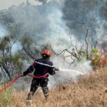 Un été d’enfer : bâtir un mouvement socialiste pour le climat