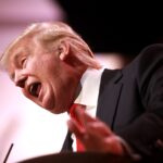 Une « vague bleue » peut-elle arrêter Trump ?