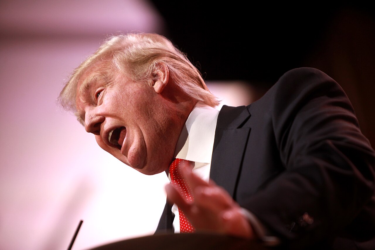 Une « vague bleue » peut-elle arrêter Trump ?